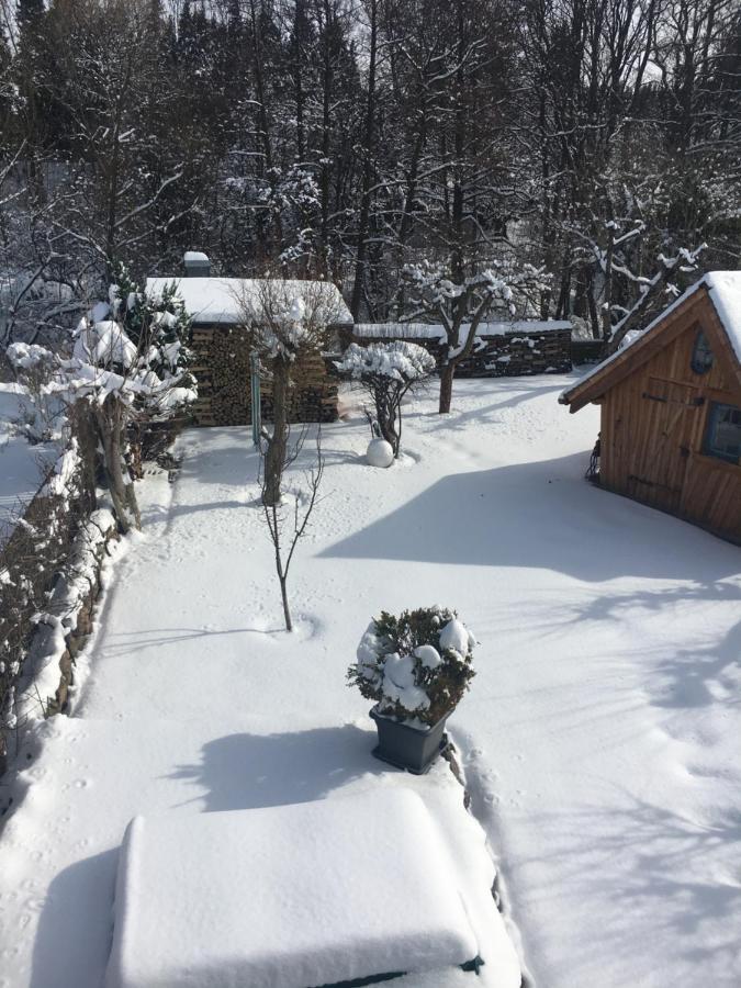 Haus Ilsegarten イルセンブルク エクステリア 写真