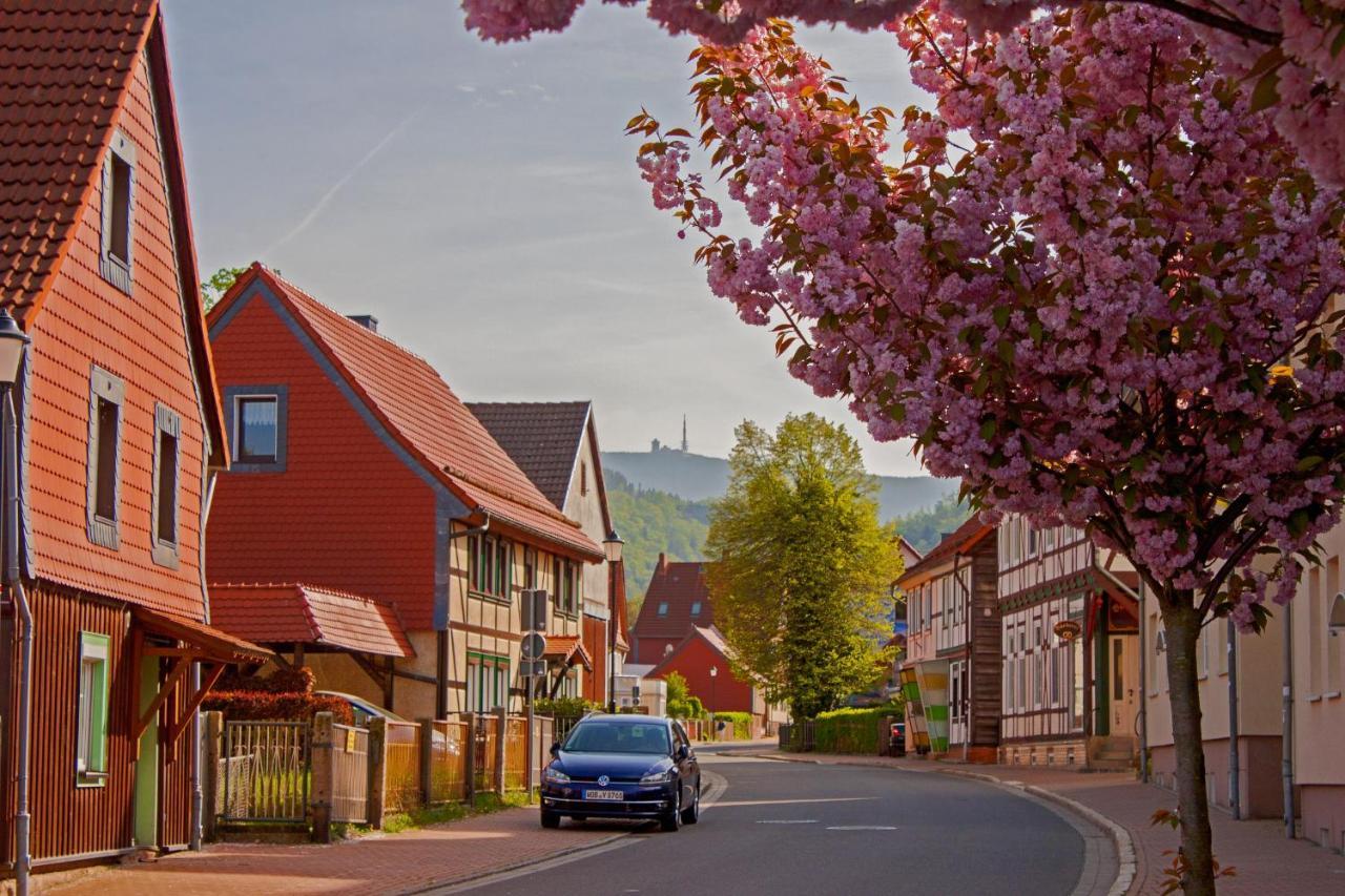 Haus Ilsegarten イルセンブルク エクステリア 写真